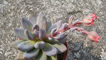 DSC08948.JPG DSC08948.JPG