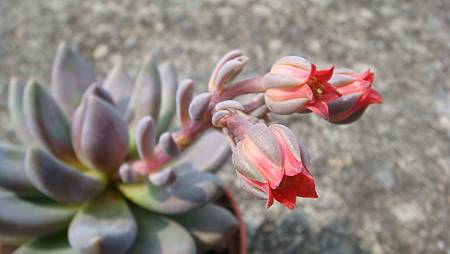 DSC08953.JPG DSC08953.JPG