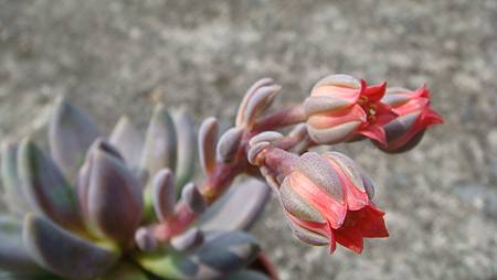 DSC08962.JPG DSC08962.JPG