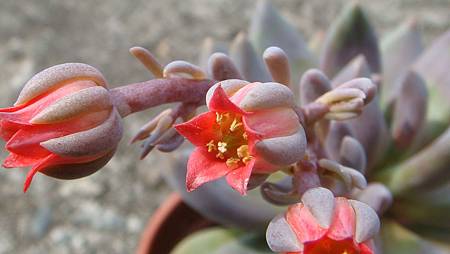 DSC08963.JPG DSC08963.JPG