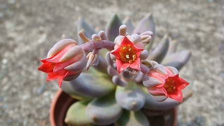 DSC08974.JPG DSC08974.JPG