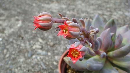 DSC08976.JPG DSC08976.JPG