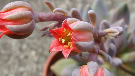 DSC08984.JPG DSC08984.JPG