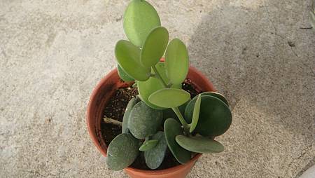 DSC04514.JPG DSC04514.JPG