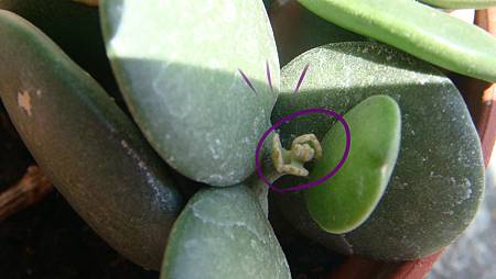 DSC06691.JPG DSC06691.JPG