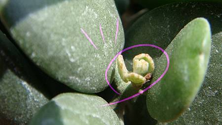 DSC06695.JPG DSC06695.JPG