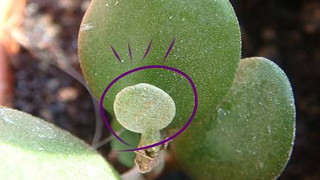 DSC06696.JPG DSC06696.JPG