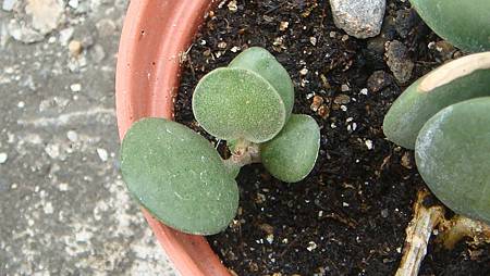 DSC06896.JPG DSC06896.JPG