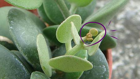 DSC06898.JPG DSC06898.JPG