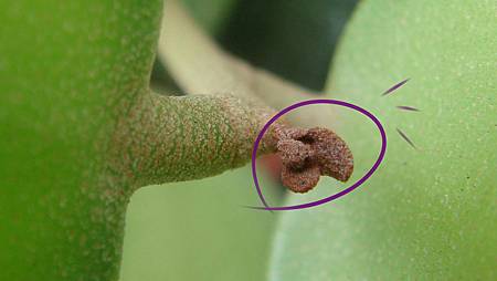 DSC07419.JPG DSC07419.JPG