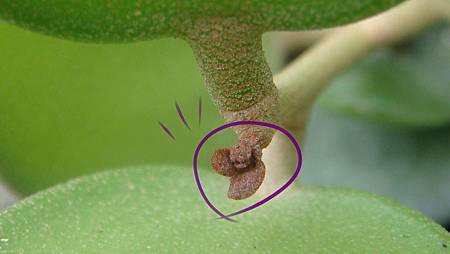 DSC07421.JPG DSC07421.JPG