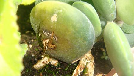 DSC08760.JPG DSC08760.JPG