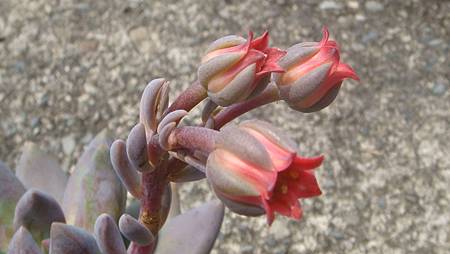 DSC09044.JPG DSC09044.JPG