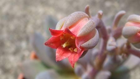 DSC09046.JPG DSC09046.JPG