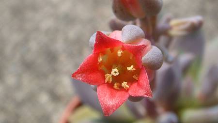 DSC09047.JPG DSC09047.JPG