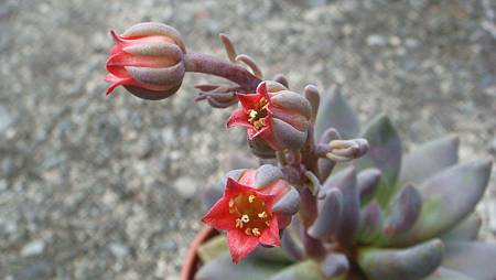 DSC09058.JPG DSC09058.JPG