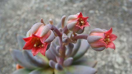 DSC09059.JPG DSC09059.JPG