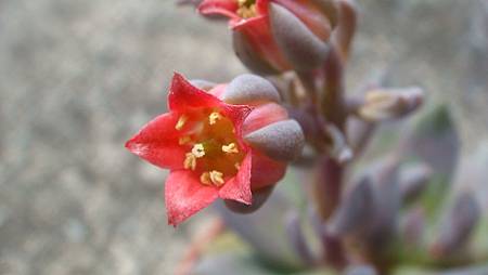 DSC09061.JPG DSC09061.JPG