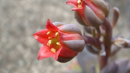 DSC09062.JPG DSC09062.JPG