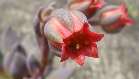 DSC09064.JPG DSC09064.JPG