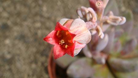 DSC09167.JPG DSC09167.JPG