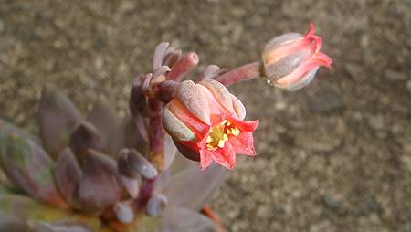 DSC09168.JPG DSC09168.JPG