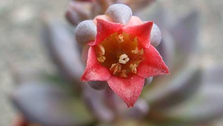 DSC09177.JPG DSC09177.JPG