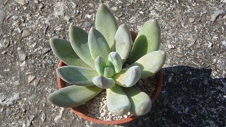 1129 (1).JPG 1129 (1).JPG