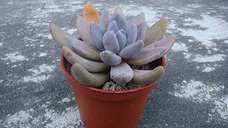 DSC04071.JPG DSC04071.JPG