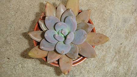 DSC04739.JPG DSC04739.JPG