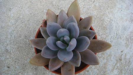 DSC04742.JPG DSC04742.JPG