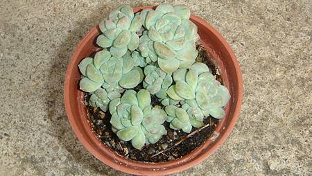 0212 (1).JPG 0212 (1).JPG