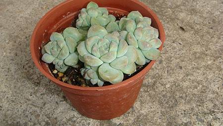 0212 (2).JPG 0212 (2).JPG