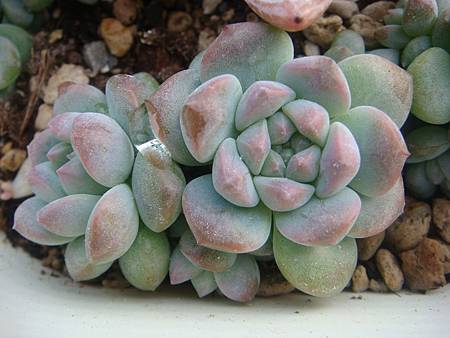 DSC06260.JPG DSC06260.JPG