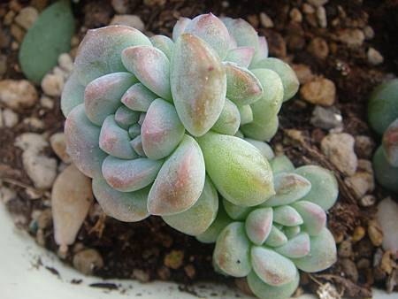 DSC06261.JPG DSC06261.JPG