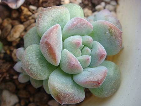 DSC06263.JPG DSC06263.JPG