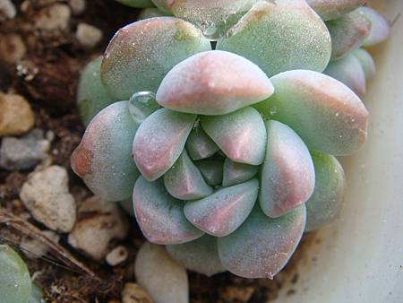 DSC06266.JPG DSC06266.JPG