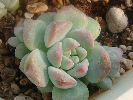 DSC06326.JPG DSC06326.JPG