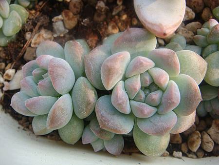 DSC06331.JPG DSC06331.JPG