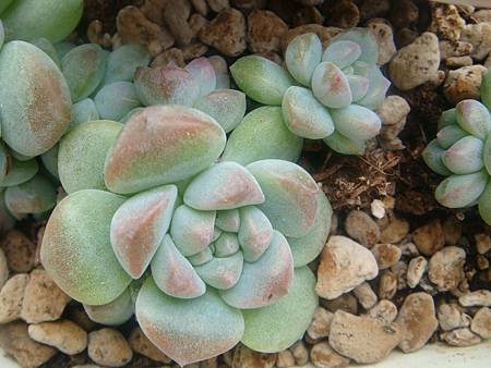 DSC06368.JPG DSC06368.JPG