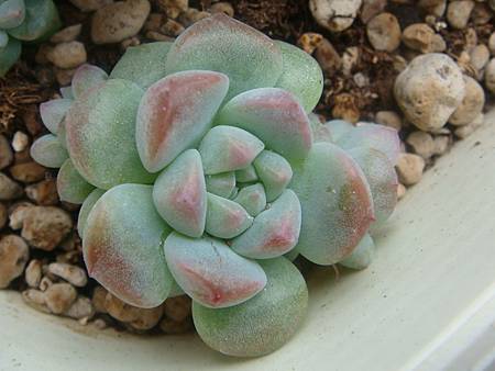 DSC06369.JPG DSC06369.JPG