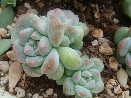 DSC06370.JPG DSC06370.JPG