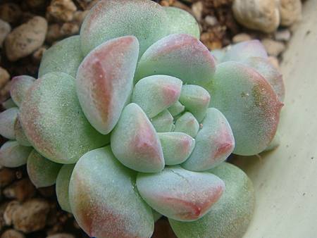 DSC06372.JPG DSC06372.JPG