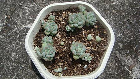 DSC07028.JPG DSC07028.JPG