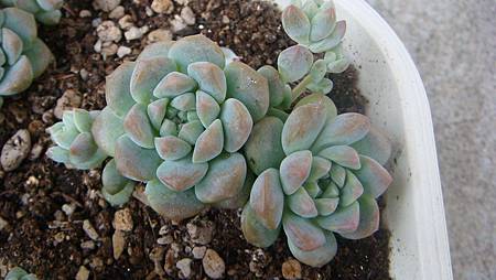 DSC07133.JPG DSC07133.JPG