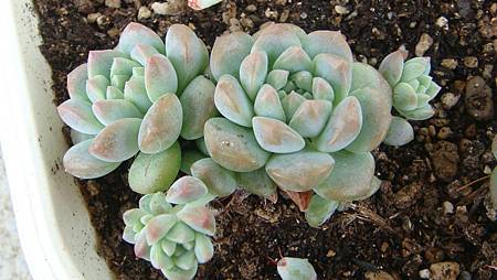 DSC07276.JPG DSC07276.JPG