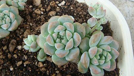 DSC07277.JPG DSC07277.JPG