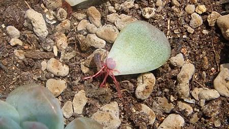 DSC07401.JPG DSC07401.JPG