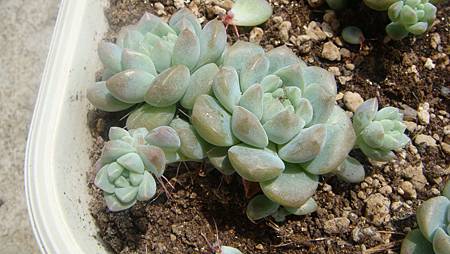 DSC07402.JPG DSC07402.JPG