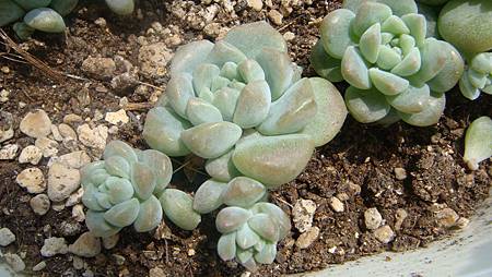 DSC07403.JPG DSC07403.JPG